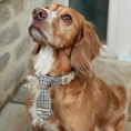 Load image into Gallery viewer, Heritage Check Dog Tie