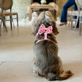 Load image into Gallery viewer, Pink Heartstrings Cord Sailor Bow Tie