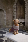 Load image into Gallery viewer, Burgundy Merino Lambswool Dog Jumper
