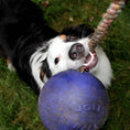 Load image into Gallery viewer, Romp N Roll Purple