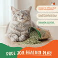 Load image into Gallery viewer, Organic Catnip