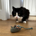Load image into Gallery viewer, Fancy Patterned Mice Cat Toy 2 Pack