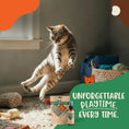 Load image into Gallery viewer, Organic Catnip