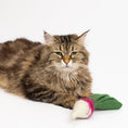 Load image into Gallery viewer, Chunky Turnip Cat Toy