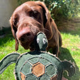 Load image into Gallery viewer, Eco Dog Toy Tara Turtle