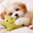 Load image into Gallery viewer, Tiny Tails Stella Star Squeaky Puppy Toy