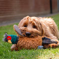 Load image into Gallery viewer, Phoebe Pheasant Dog Toy