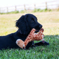 Load image into Gallery viewer, Small Bite Giraffe Toy for Puppies & Smaller Dogs