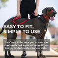 Load image into Gallery viewer, Canny Collar