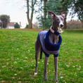 Load image into Gallery viewer, Navy Dog Jumper In Merino Lambswool