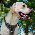 Load image into Gallery viewer, GO-B-BOLD Dog Harness Fern