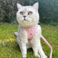 Load image into Gallery viewer, Strawberry Cat Lead