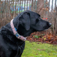 Load image into Gallery viewer, Small Bite Teddy Bear Collar Rose