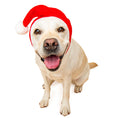 Load image into Gallery viewer, Santa Hat Dog Snood