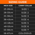 Load image into Gallery viewer, Canny Collar