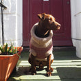 Load image into Gallery viewer, Burgundy Merino Lambswool Dog Jumper