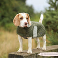 Load image into Gallery viewer, Luxe Quilted Dog Coat Countryside Khaki
