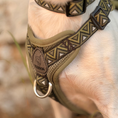 Load image into Gallery viewer, GO-B-BOLD Dog Harness Fern