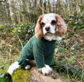 Load image into Gallery viewer, Legacy Polar Fleece Dog Explorer Khaki