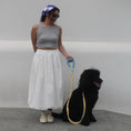 Load image into Gallery viewer, Bubble Leash Standard