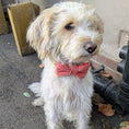 Load image into Gallery viewer, Tweed Bow Tie