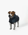 Load image into Gallery viewer, Back to Black Dog Poncho