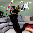 Load image into Gallery viewer, Wiggle Worm Rainbow Cat Dangler
