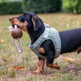 Load image into Gallery viewer, Teddy Bear Fleece Harness For Puppies & Small Dogs Sage