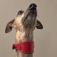 Load image into Gallery viewer, Artisan 03 Sight Hound Collar Red