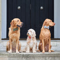 Load image into Gallery viewer, Tweed Bow Tie