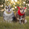 Load image into Gallery viewer, Frog Dog Snood