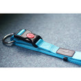 Load image into Gallery viewer, Belay Nylon Safety Collar Aqua Blue