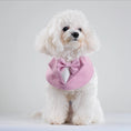 Load image into Gallery viewer, Blossom Bandana