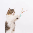 Load image into Gallery viewer, Pidan Cat Toy Bouncy Ball 3 Pack