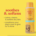 Load image into Gallery viewer, Burt's Bees Itch Soothing Shampoo For Dogs 473ml