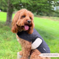Load image into Gallery viewer, Luxe Quilted Dog Coat Midnight Black