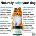 Load image into Gallery viewer, Calming Dog Treats