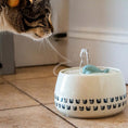 Load image into Gallery viewer, Whale Cat Water Fountain