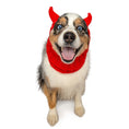 Load image into Gallery viewer, Devil Dog Snood