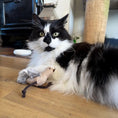 Load image into Gallery viewer, Cheeping Bird Cat Toy