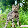 Load image into Gallery viewer, Plaid Cat Lead