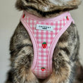 Load image into Gallery viewer, Strawberry Cat Harness