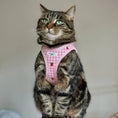 Load image into Gallery viewer, Strawberry Cat Harness