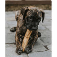 Load image into Gallery viewer, Coffee Wood Dog Chew Medium