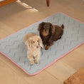 Load image into Gallery viewer, Cool Wave Memory Foam Pet Mat Grey
