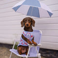 Load image into Gallery viewer, Crab Cooling Vest