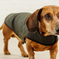 Load image into Gallery viewer, Dachshund Raincoat Turner