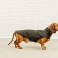 Load image into Gallery viewer, Dachshund Raincoat Turner