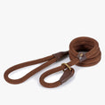 Load image into Gallery viewer, Delux Nylon Rope Slip Lead