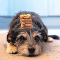 Load image into Gallery viewer, BrewBix Healthy Peanut Butter Dog Treat Biscuits